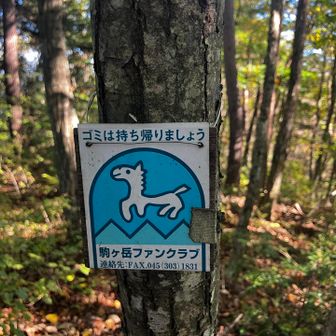 駒沢