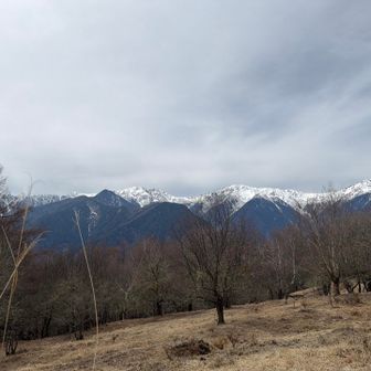 あの山は何だろう💭
