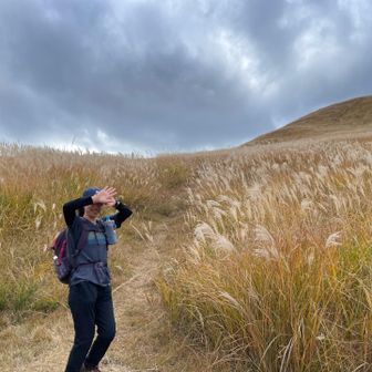 ススキは満開でした🌾もう少し天気が良ければ、もっと良かったですね。
