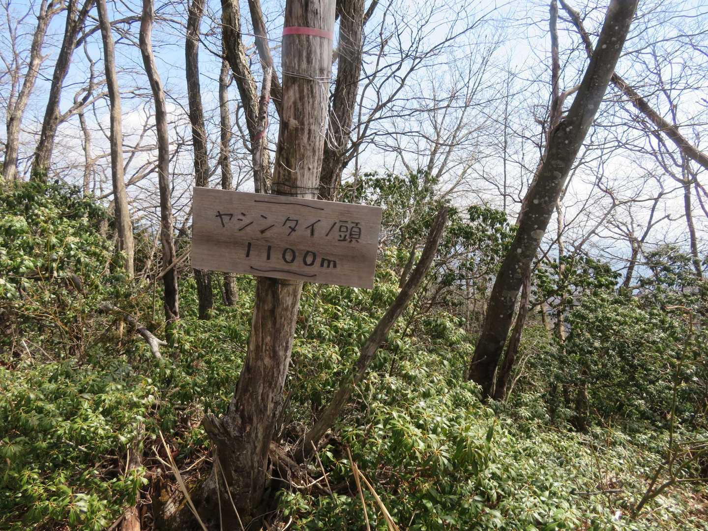 ヤシンタイノ頭、古い感じだけど新調された山標。千葉から来られたご夫妻と談笑です。