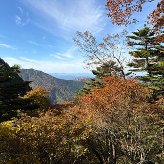 山頂から少し降りたあたりが紅葉の見頃でした