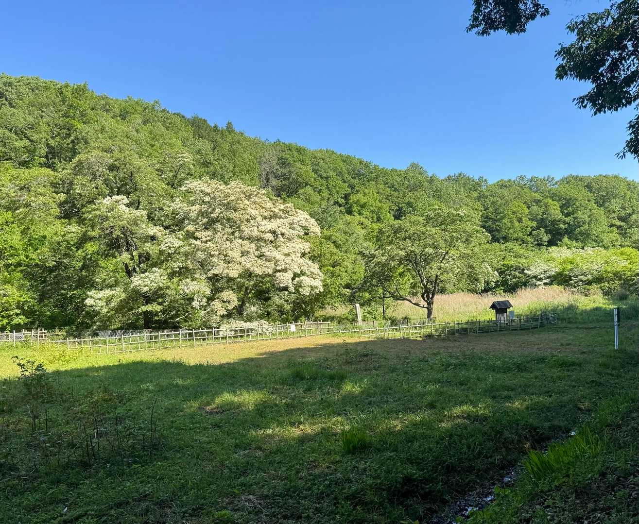 大縣神社登山口-尾張本宮山 往復コースの写真