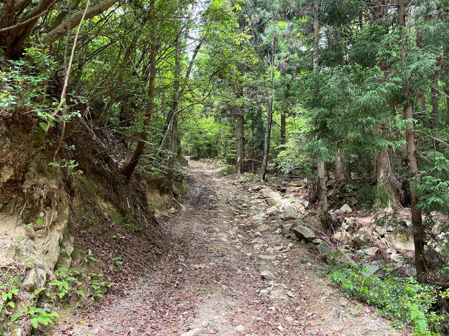 林道みたいで走れます🏃‍♂️💨
イノシシ用の檻が沢山置いてありました🐗
