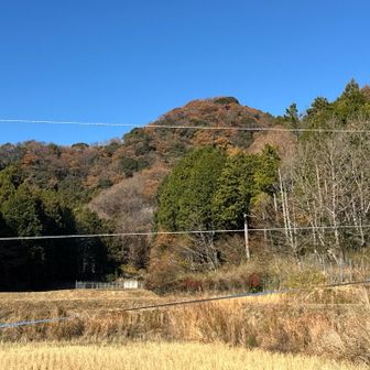 先程登ったひよどり城址のピーク！