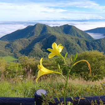 ユウスゲと三ツ峰山、榛名旭岳
