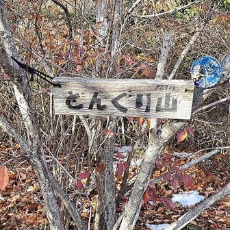 どんぐり山🏁

このアルプス全域でどんぐりを見ません。かなり不作か？

景観は省略します。良かったです。