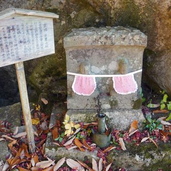 岩戸山(十三仏)
飛鳥時代(約1300年前)、聖徳太子がこの山の南裏に瓦屋寺を建てた時、同じ山並みの向こうの岩戸山に、金色の光を発する不思議な岩を見つけた。太子はこれは仏のお導きと思い、この岩までたどり着き、仏像を彫ろうとしたが道具を持ってこなかった。そこで自らの爪で十三体の仏を刻んだ」という言い伝えがある
でも、石仏は沢山有るけど、聖徳太子が彫ったという仏像は❓ だった
