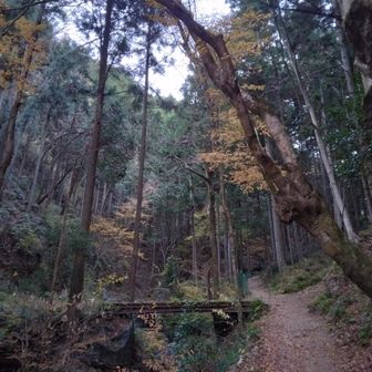 沢沿いを五輪山手前まで