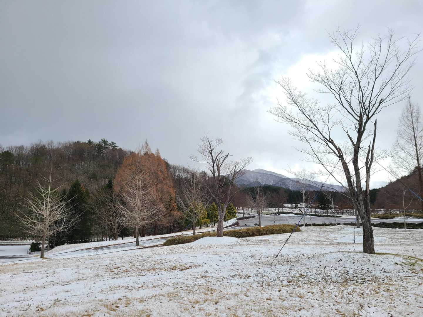 下山後の公園　冬景色