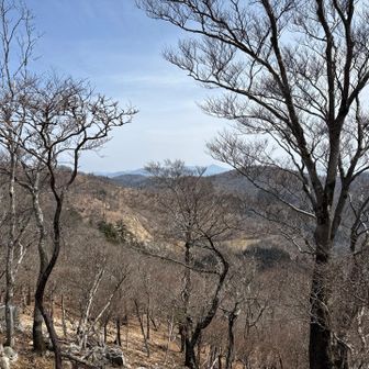 アップダウンが かなり有りますねえ 疲れますわ😓