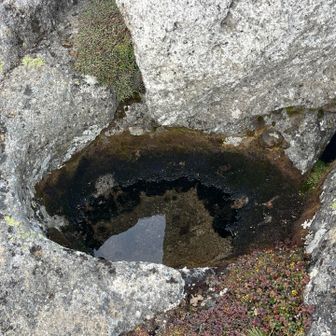 この辺の岩、丸く穴空いてるよね
誰か金魚を飼ってたんだと思う😁