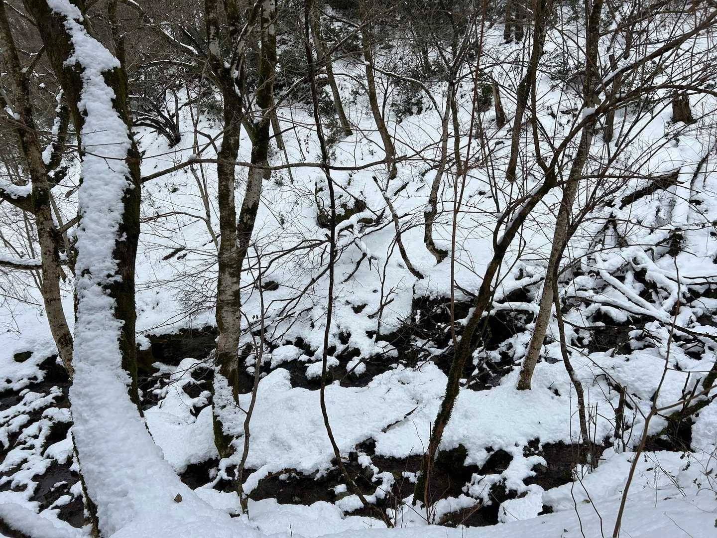 川が流れてます