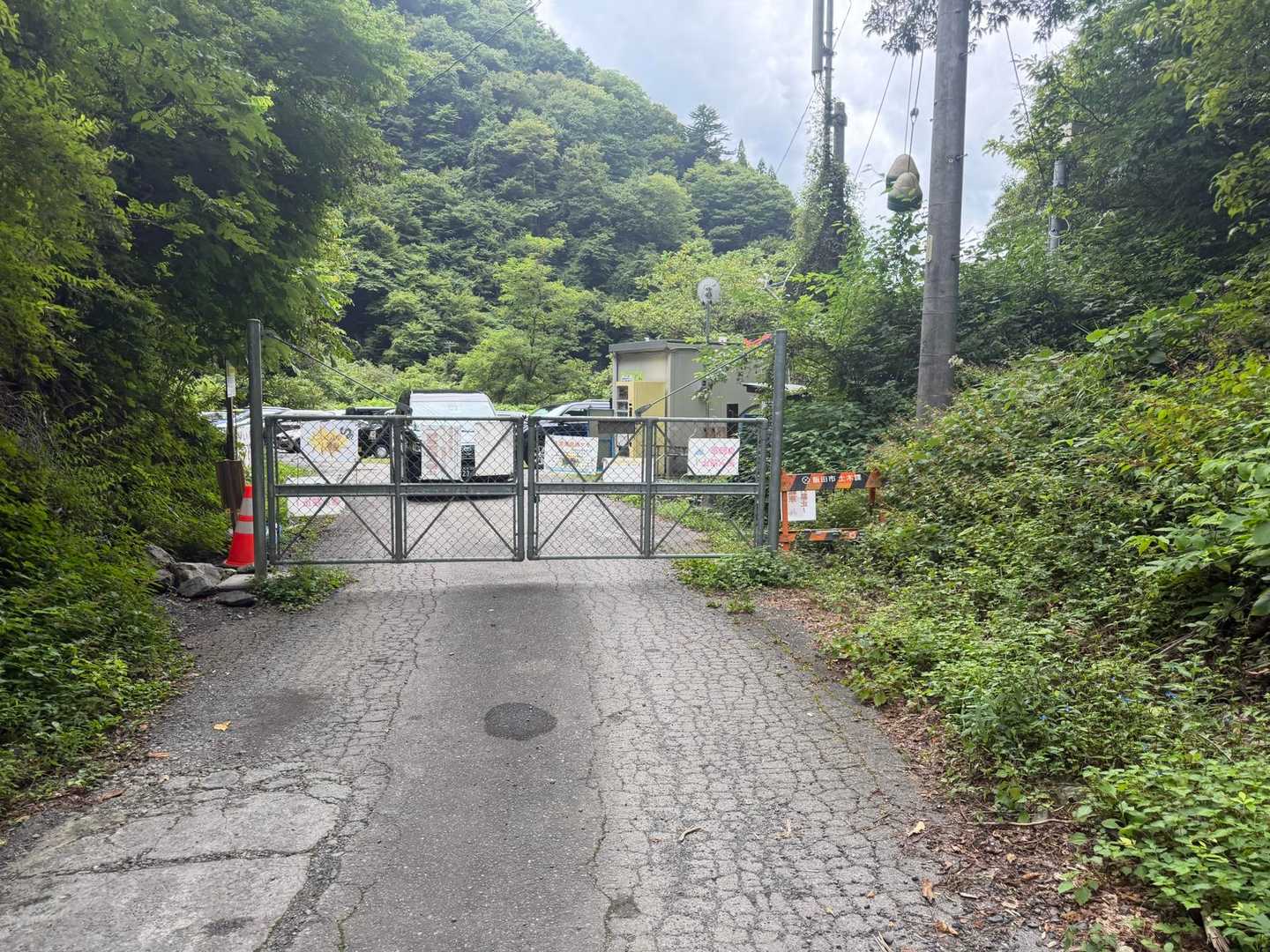 帰って来た🙌