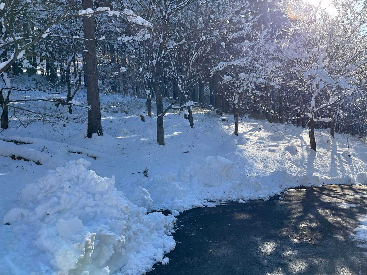 麓の雪は少なかったけど上はしっかり積もってますね