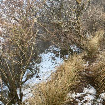 マジか、雪❄️が残ってるから滑らない様に注意⚠️