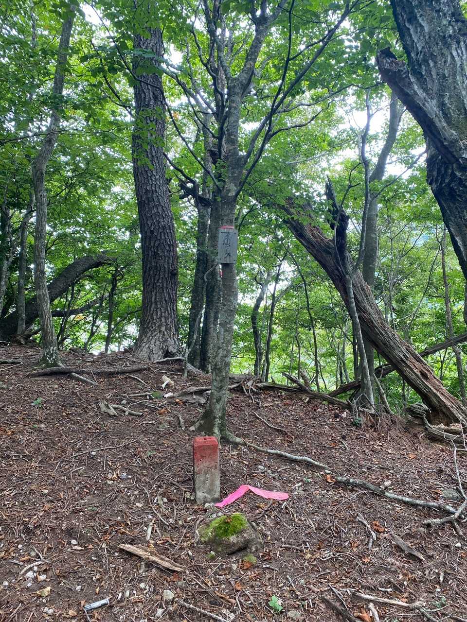 第一ピーク、結構登りました。写真撮るの忘れてた🤣