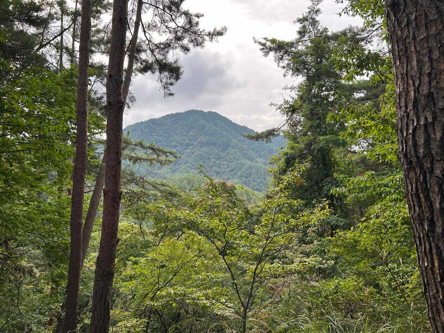 兜山が見えました😊
先ほどの方が登られている山です。