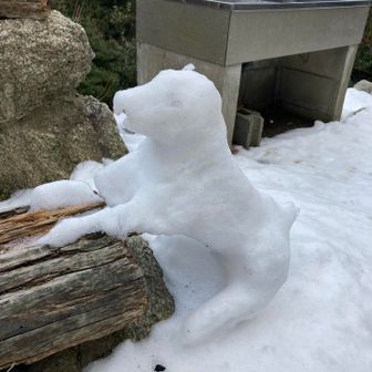 藤内小屋のわんちゃん🐶
なんとか間に合った⁈

けっこうとけてました😅
耳も足もちぎれてる、、