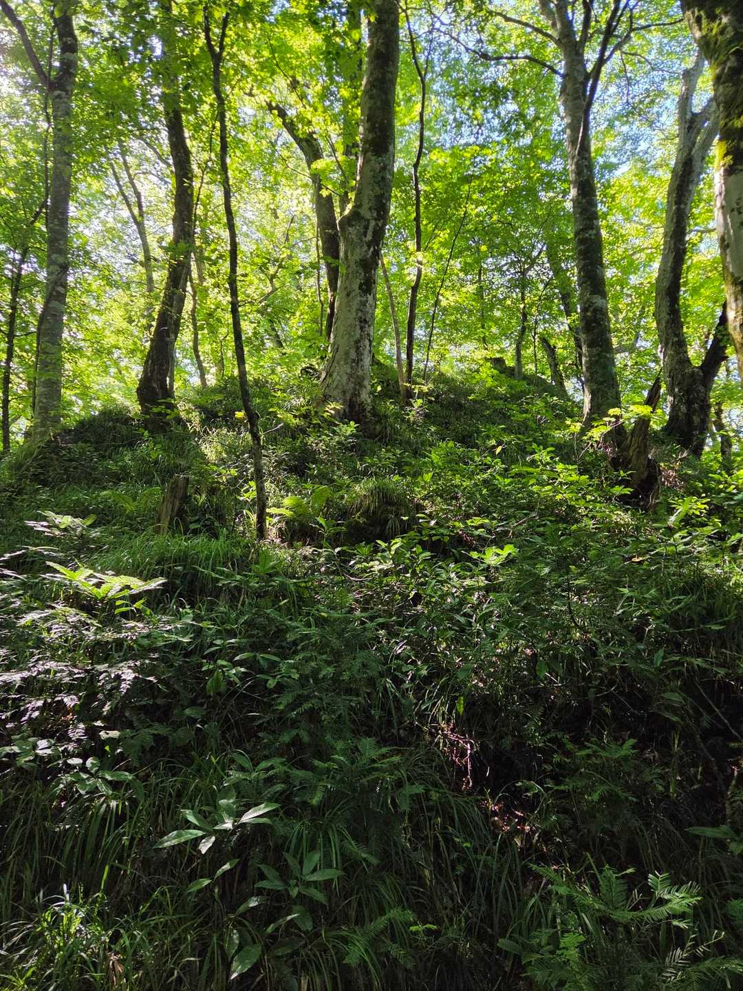 いい感じ😊