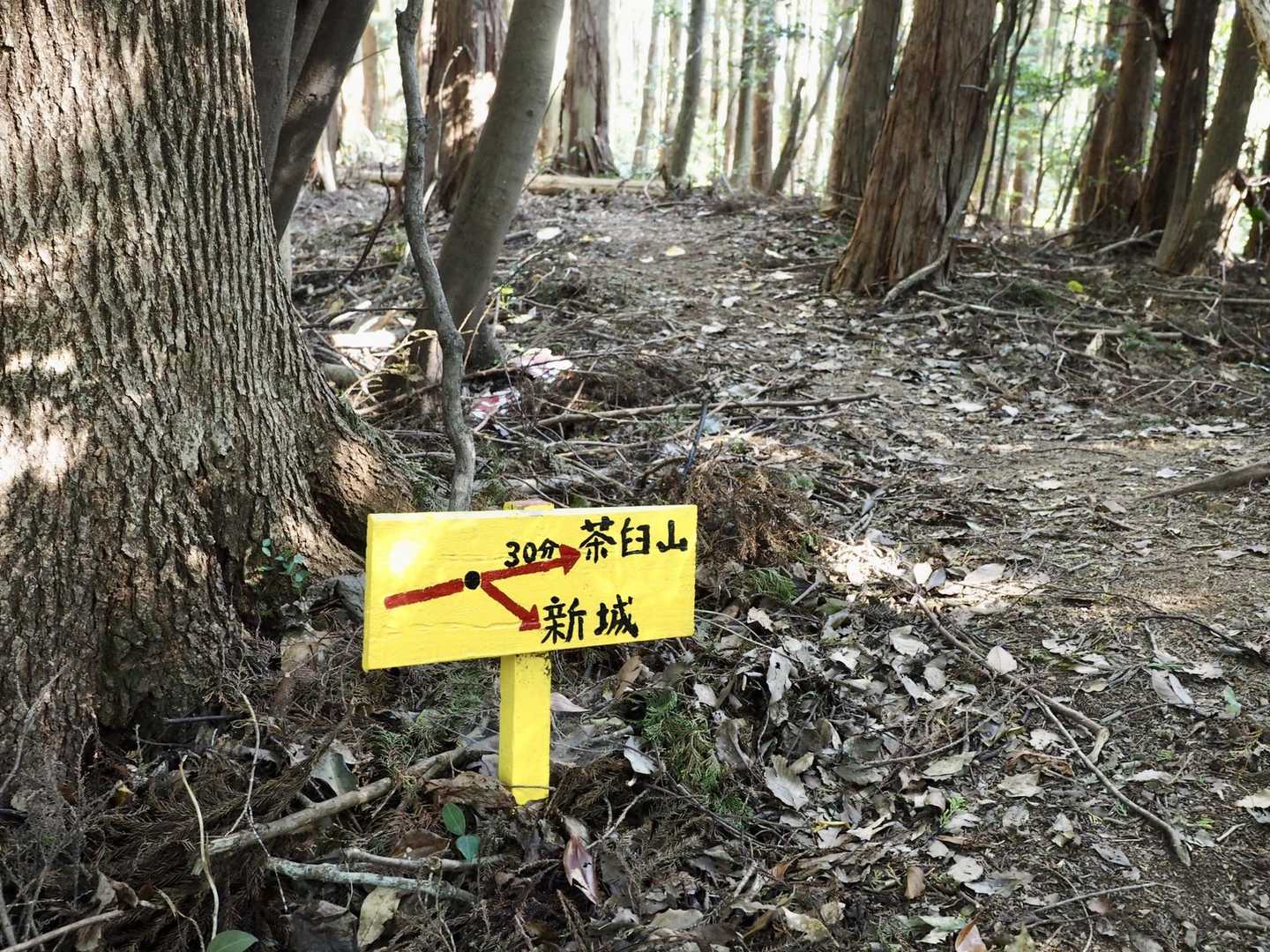 丁寧な案内表示があります