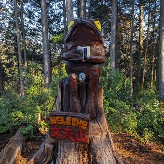 カエルさんもお出迎えです。