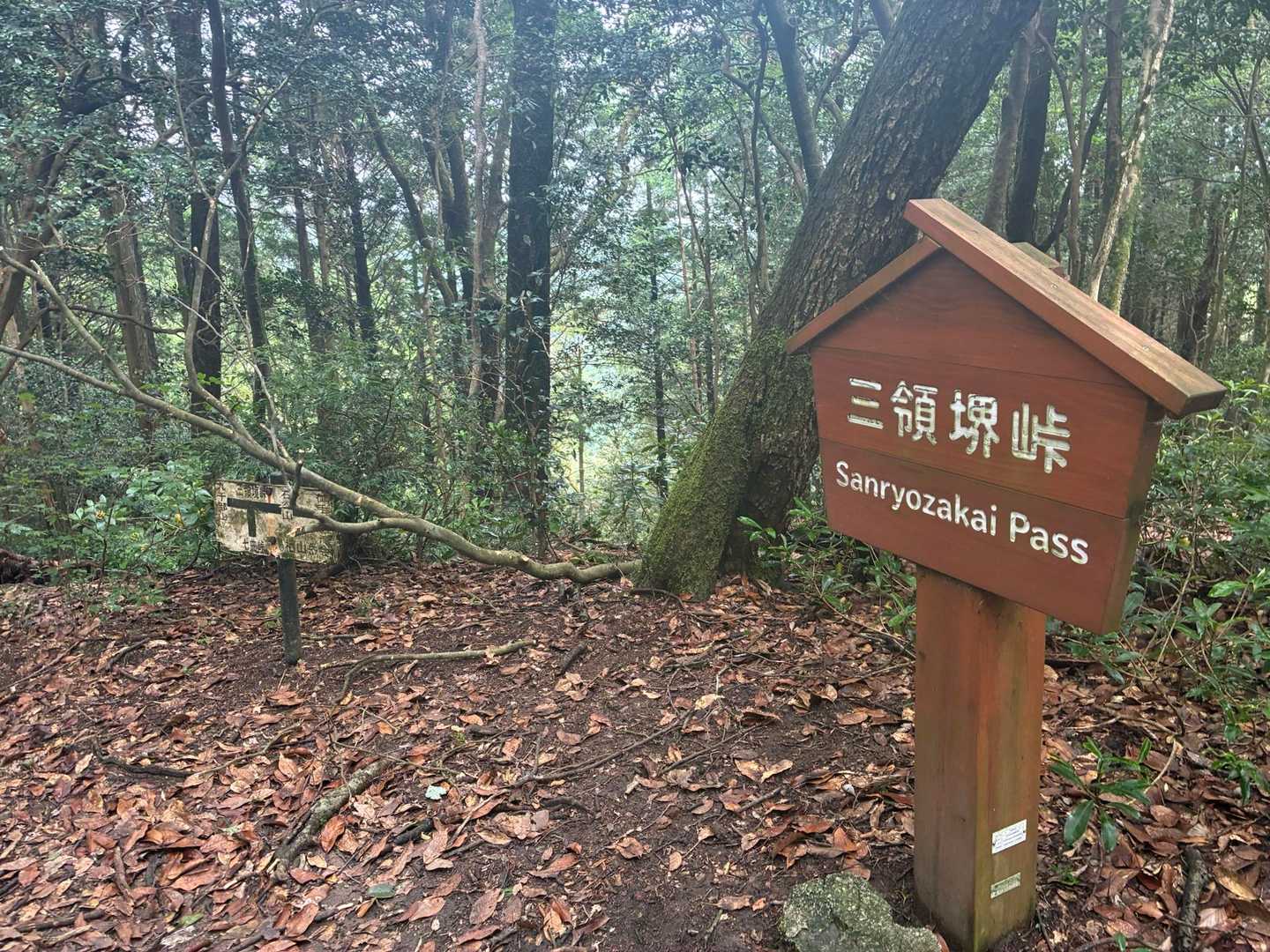 七曲峠-三国峠-石谷山 往復コースの写真