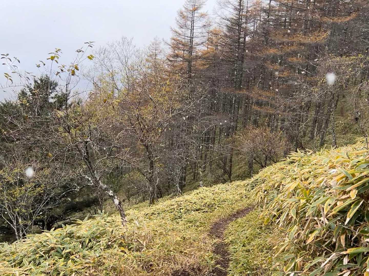 と、その前に… 突然雪が降ってきた❄️
かなり吹雪いている➰
そして寒い😖

     『雪降るなんて、聞いてないよー！』