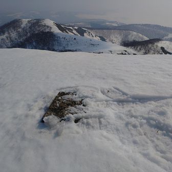 天測点は頭だけ