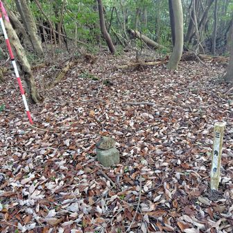 平野山　標高：351.2m