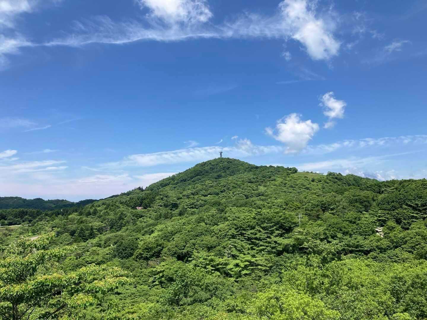 物見山の写真