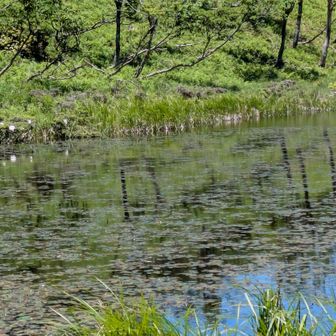 水面が鏡のよう！