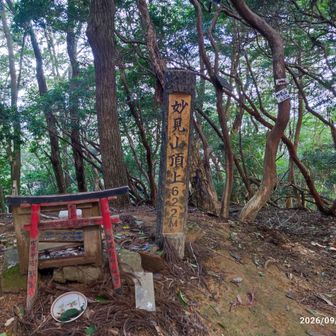 妙見山の頂上