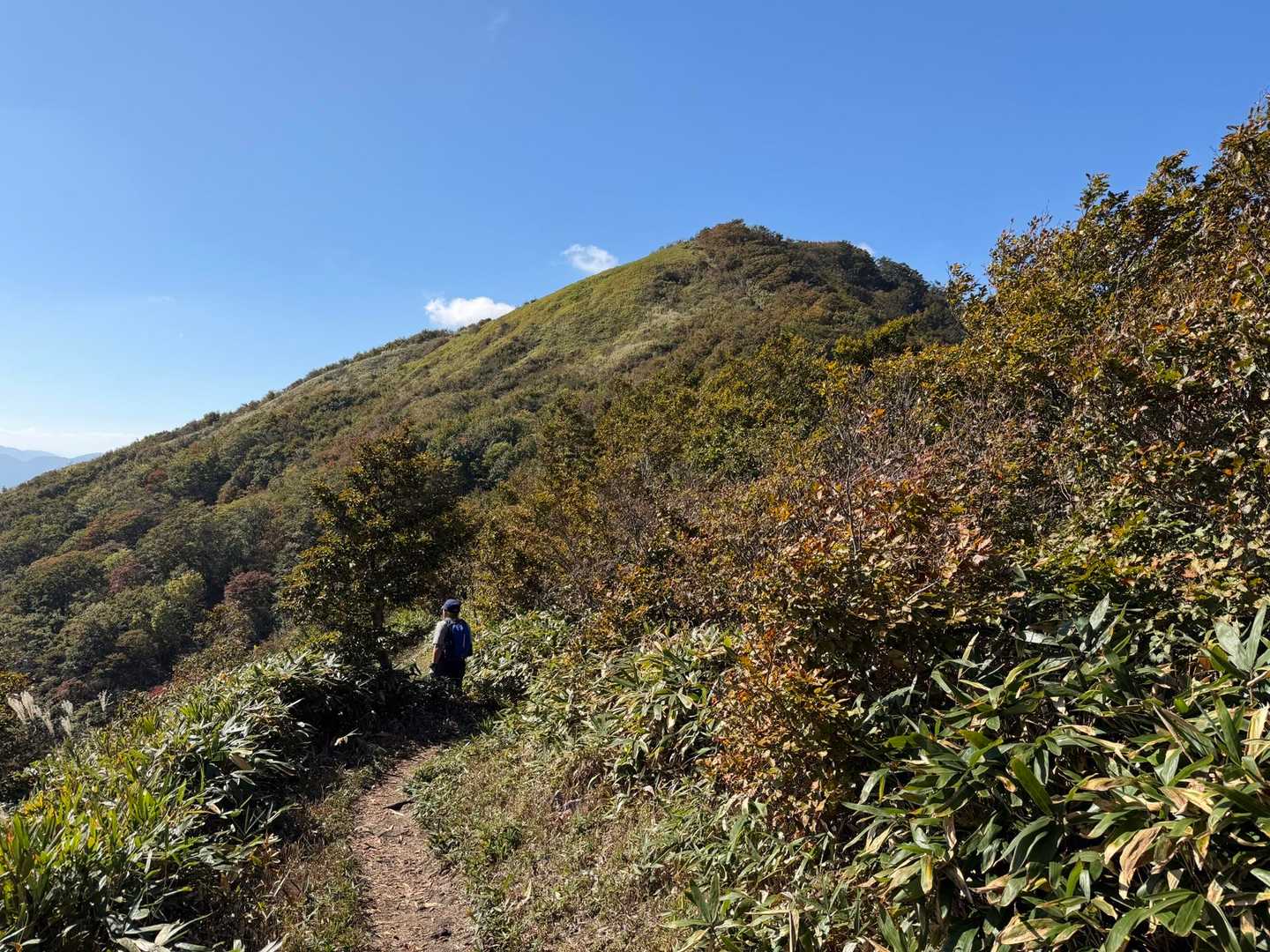手前の尖りはニセピーク
まだまだ先が山頂です‼️