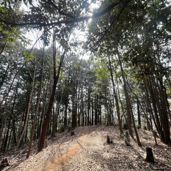 山頂は広くて静かで休憩に良さそう