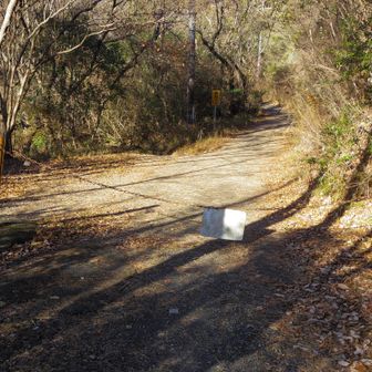 林道です。車止めの鎖を乗り越えて進みます。