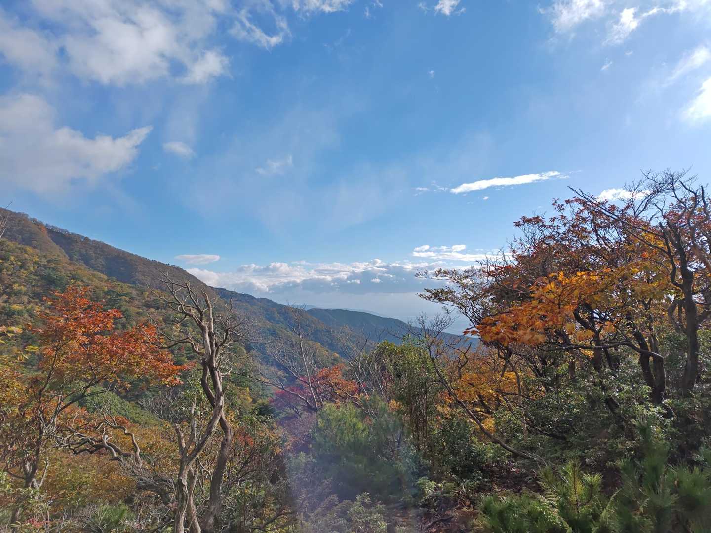 表道登山道 コースの写真