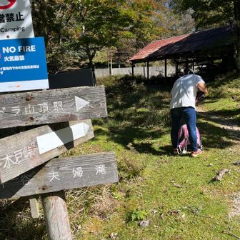 木戸峠方面へ。こちらでアサギマダラを3匹見ましたが写真撮れず😭