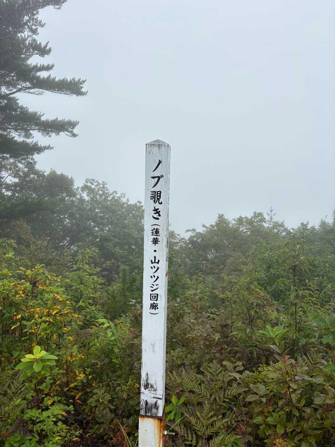 羽山-愛宕山-笹野山 往復コースの写真