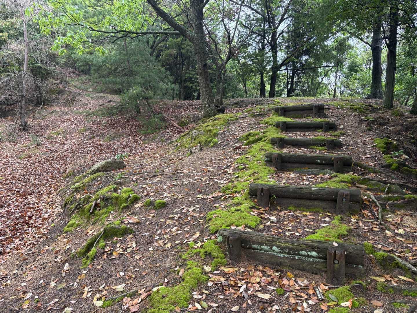 苔の階段や