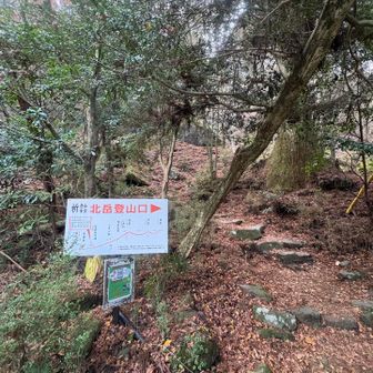 さて、登山道へ