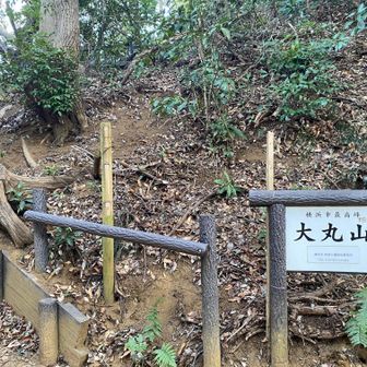 横浜市の最高峰だそうです