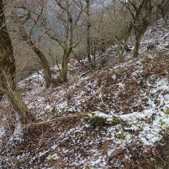 雪が残ってました☃