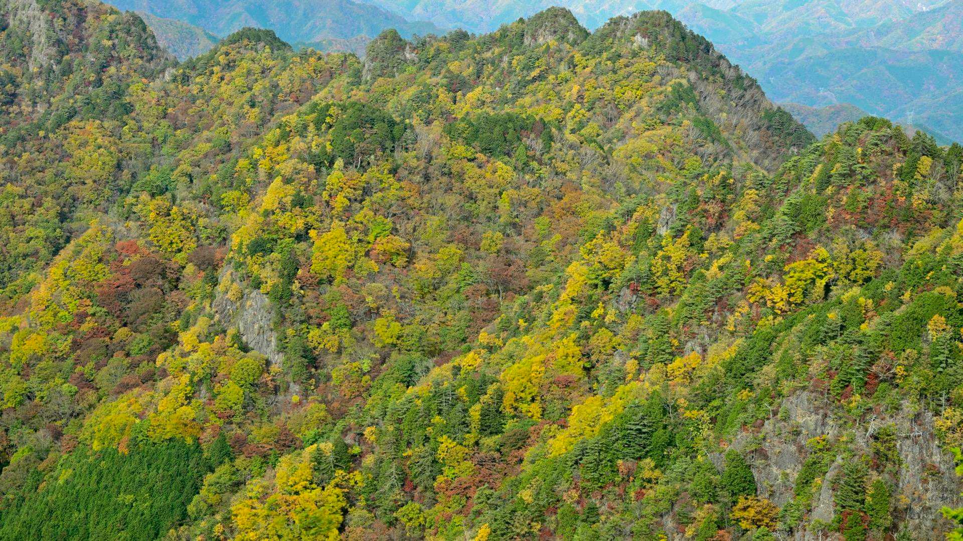 綺麗