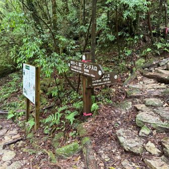 150分コースと分かれる。
雨上がりで蒸し暑い…。💦