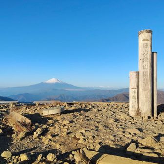今月3回目で初めて風もなく暖かい😊