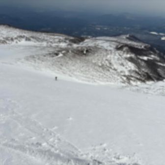 ピンぼけしてる🥲