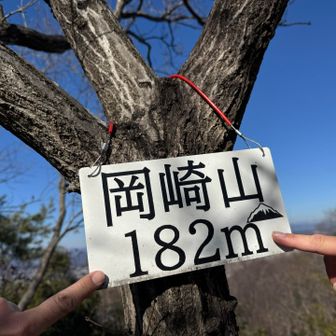十三座目　岡崎山👆👆
ピークはあと一つ！
あ。違う。あと二つだ😛