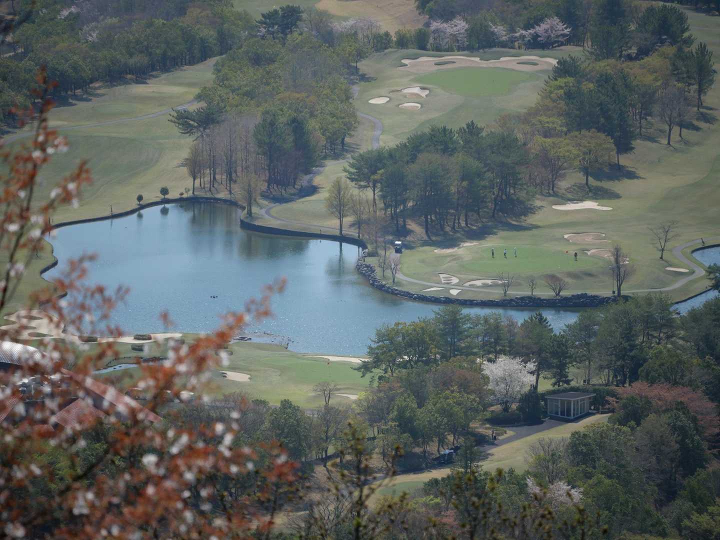 眼下に見えるゴルフ場⛳️
