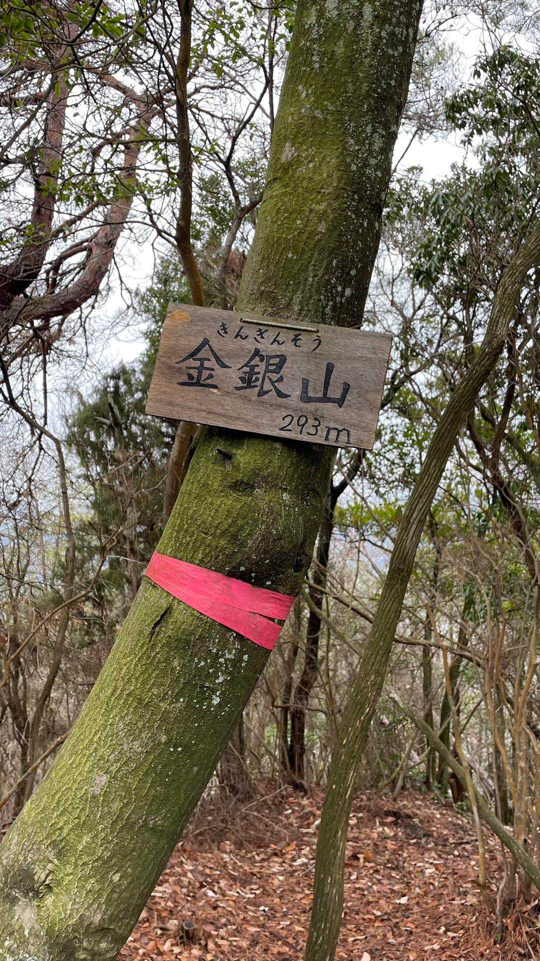 お疲れ山