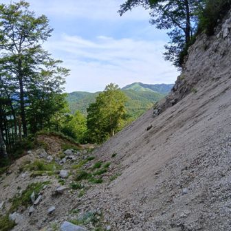 高嶺の北斜面はかなり崩落しています！